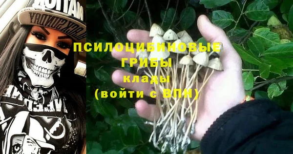 марихуана Бородино