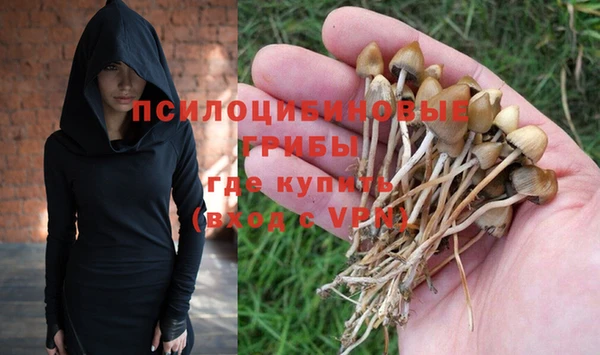 МДПВ Богданович