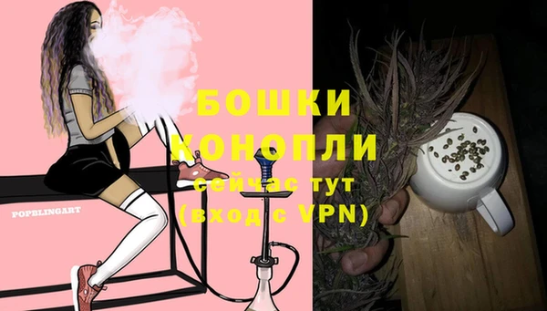 крисы Богородицк