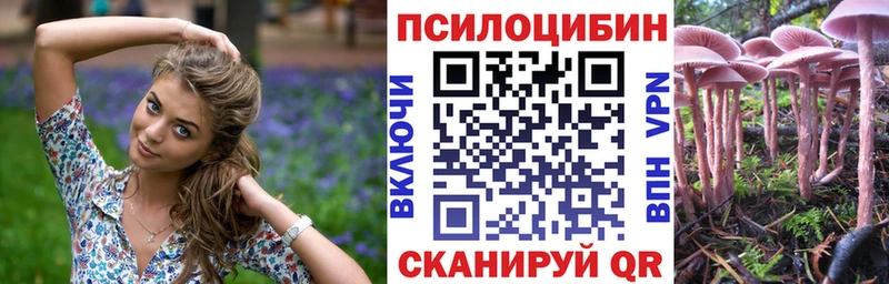 купить наркоту  Дорогобуж  Галлюциногенные грибы мицелий 